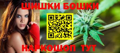 прущие грибы Комсомольск-на-Амуре