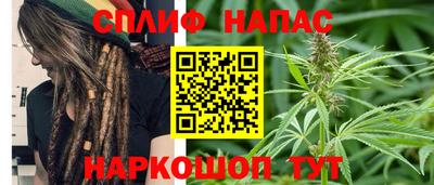 прущие грибы Комсомольск-на-Амуре