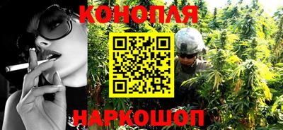 прущие грибы Комсомольск-на-Амуре