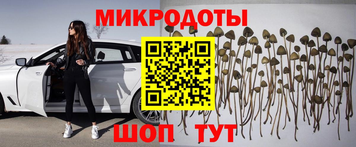 Елабуга  Псилоцибиновые грибы Psilocybine cubensis  Вход с VPN 